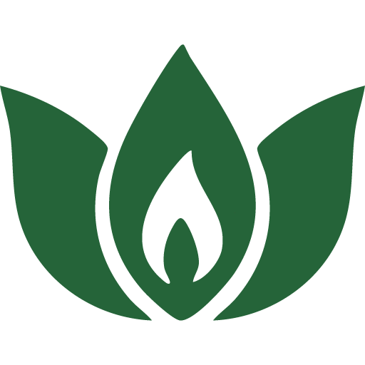 Đạo Mẫu Tứ Phủ